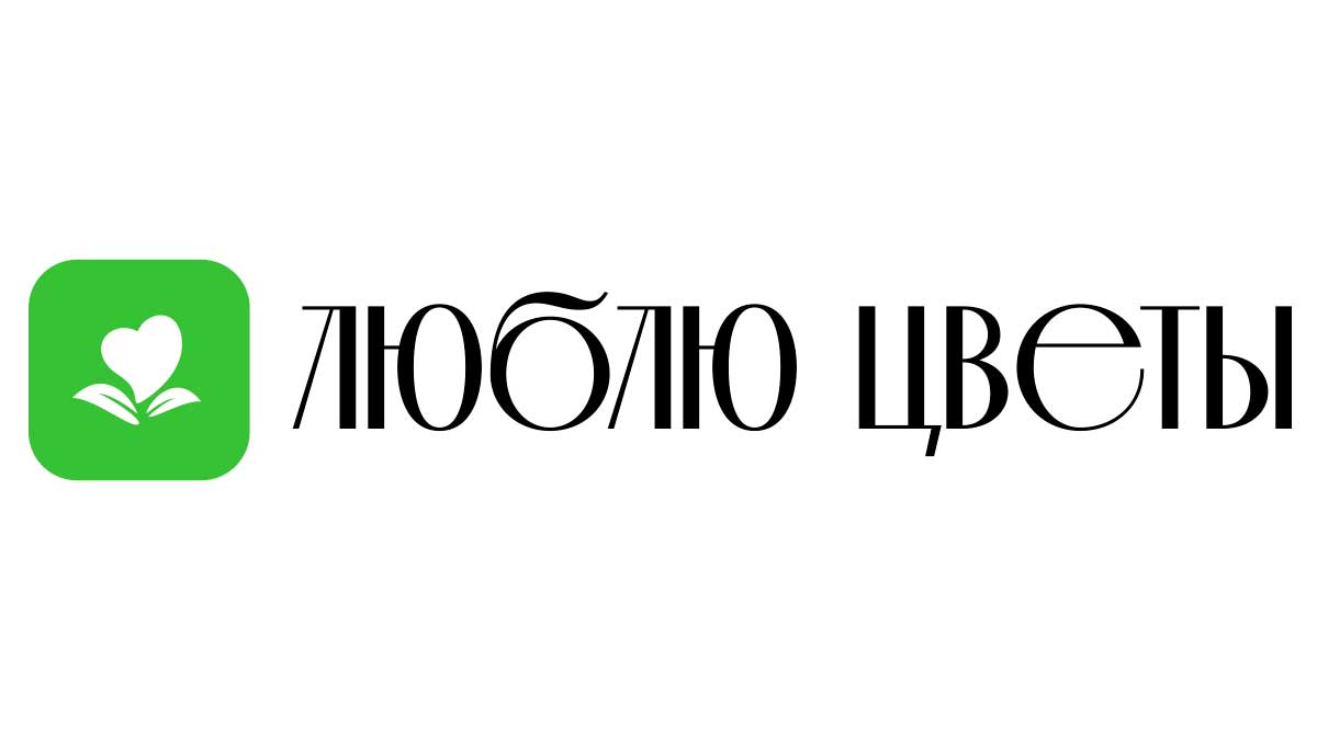 Доставка цветов - Будённовск | Купить цветы и букеты - Недорого -  Круглосуточно | Заказ на дом от интернет-магазина «Люблю цветы»